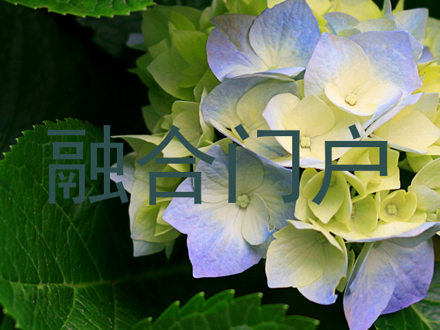 融合门户