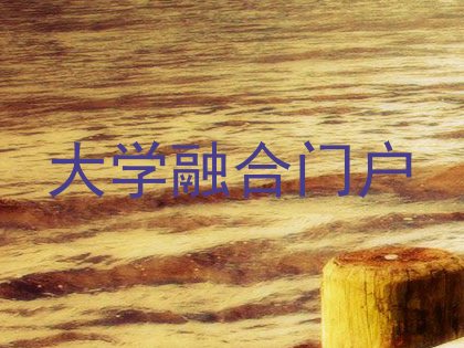 大学融合门户