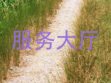 服务大厅