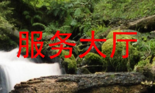 服务大厅