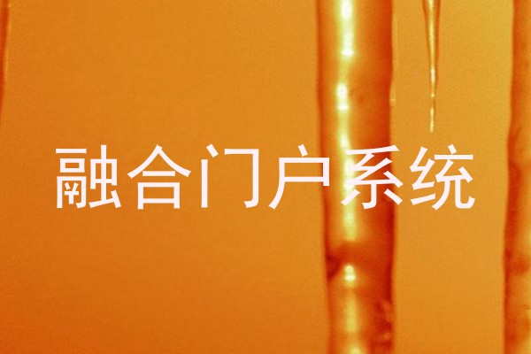 融合门户系统
