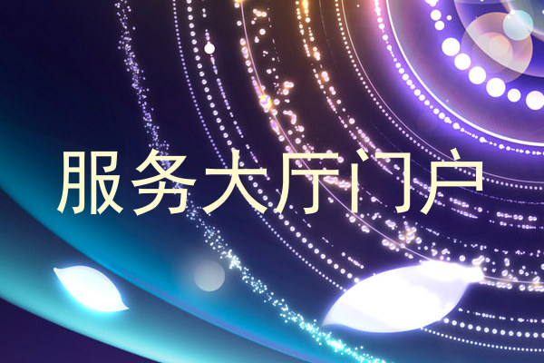 服务大厅门户