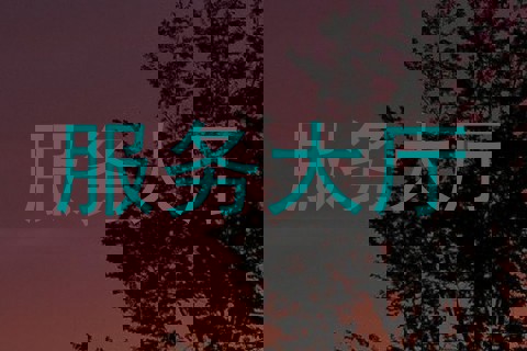 服务大厅