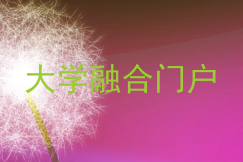 大学融合门户