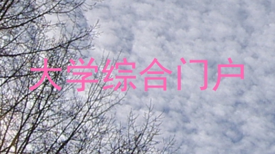大学综合门户