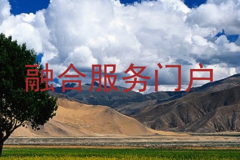融合服务门户