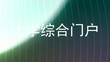 大学综合门户