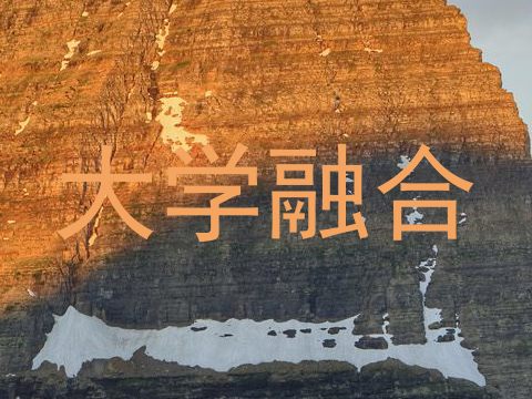 大学融合