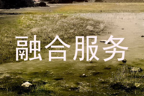 融合服务