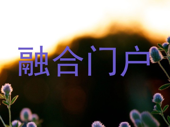 融合门户