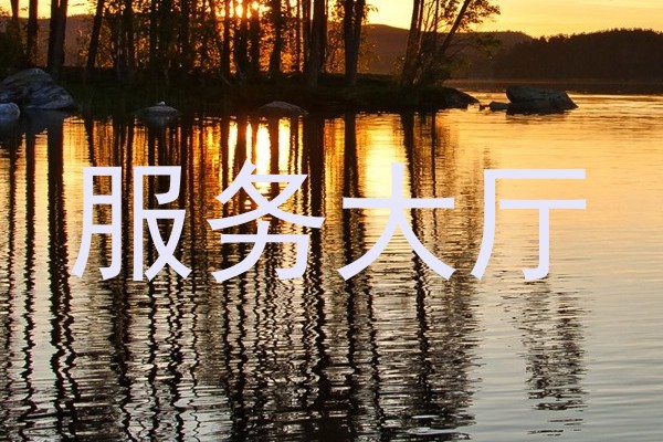 服务大厅