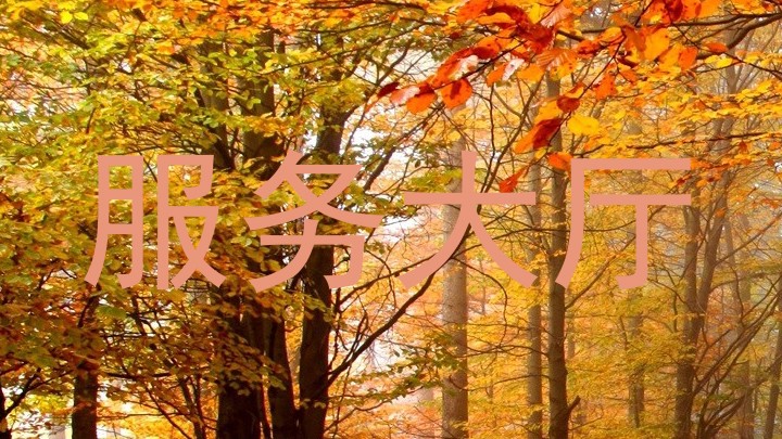 服务大厅