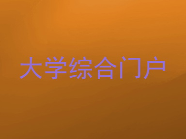 大学综合门户