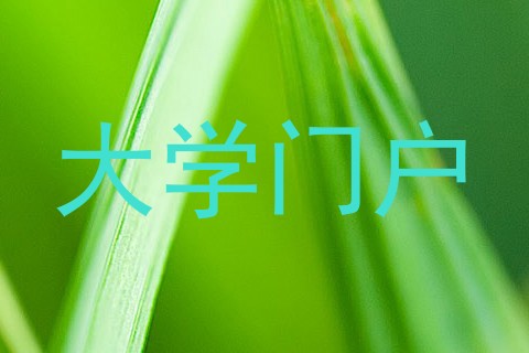 大学门户