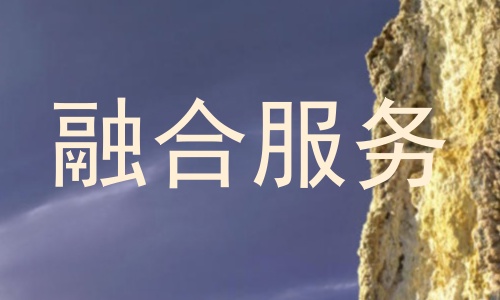 融合服务
