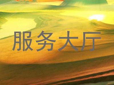 服务大厅