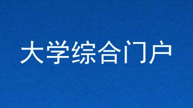 大学综合门户