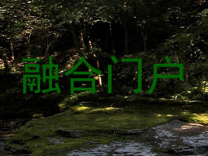 融合门户