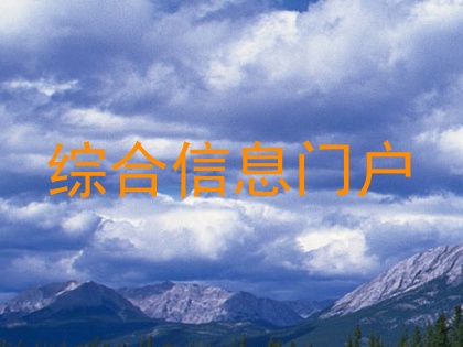 综合信息门户