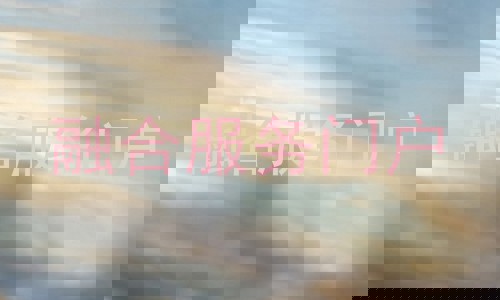融合服务门户