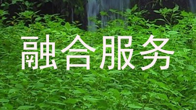 融合服务