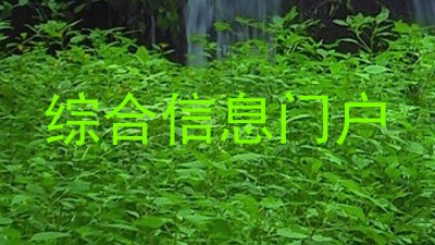 综合信息门户