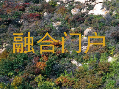 融合门户