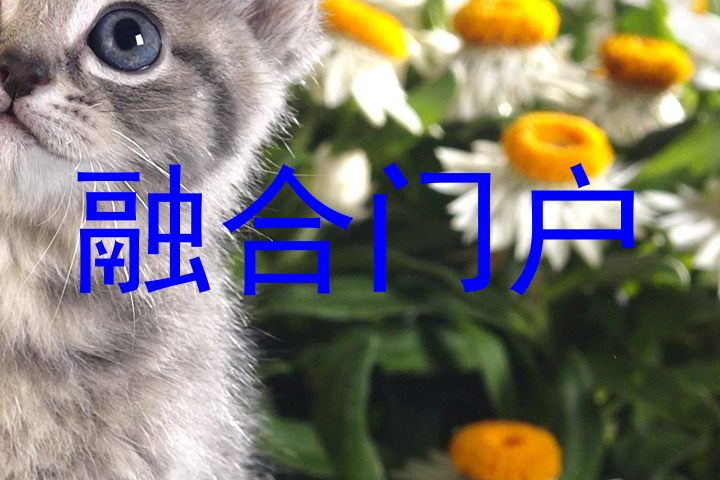 融合门户