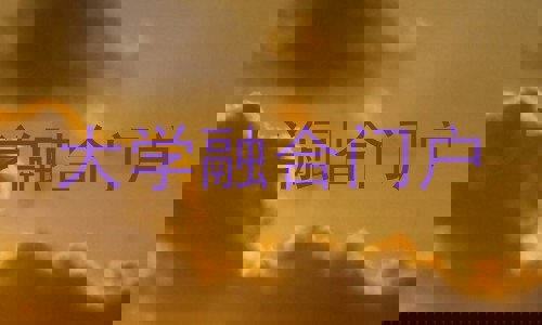 大学融合门户