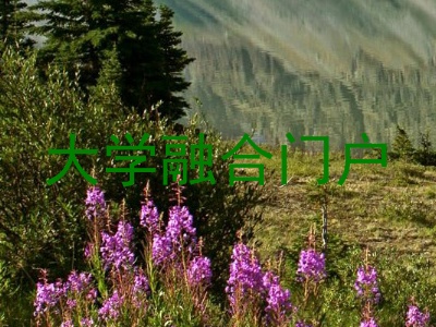 大学融合门户