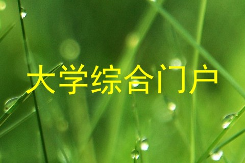 大学综合门户