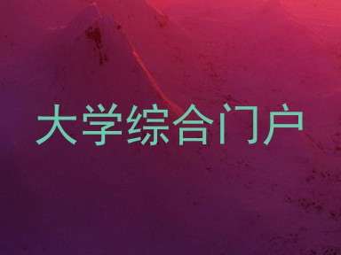 大学综合门户