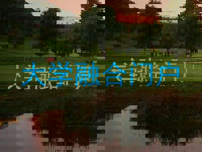 大学融合门户