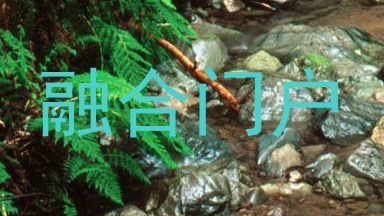 融合门户