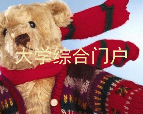 大学综合门户