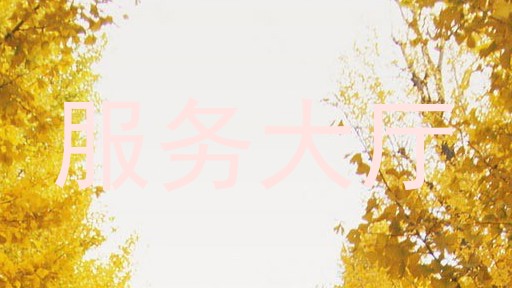 服务大厅