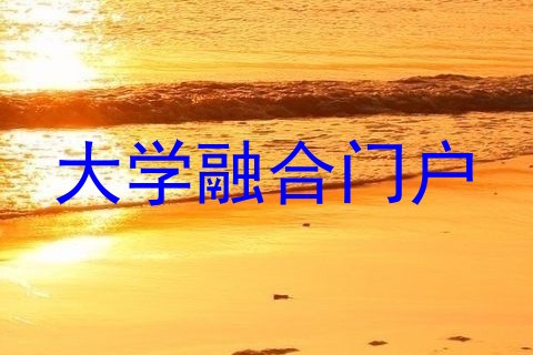 大学融合门户