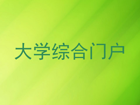 大学综合门户