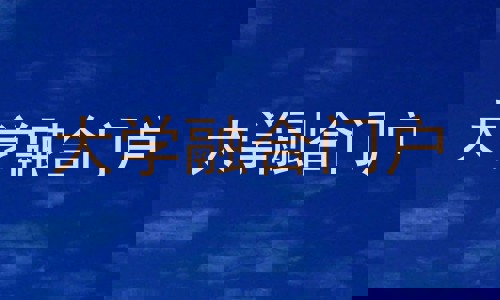 大学融合门户