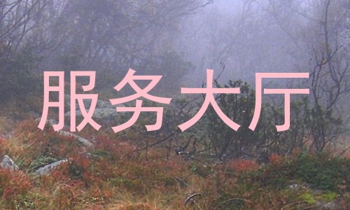 服务大厅