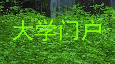 大学门户