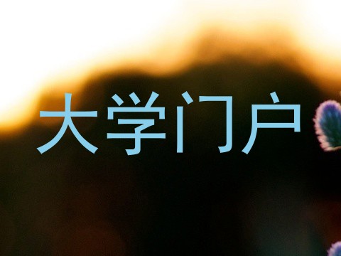 大学门户