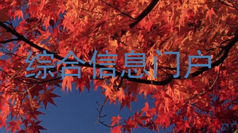 综合信息门户