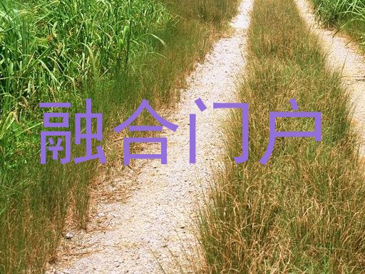 融合门户