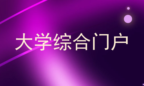 大学综合门户