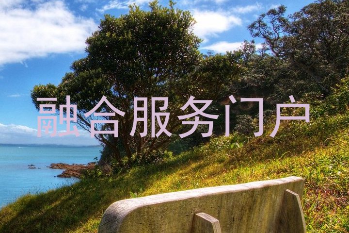 融合服务门户
