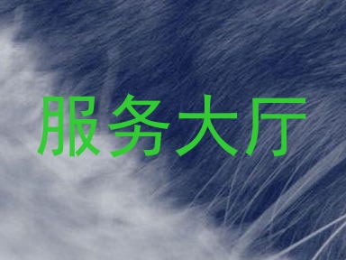 服务大厅