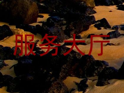 服务大厅