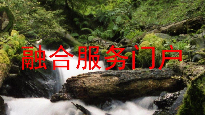 融合服务门户