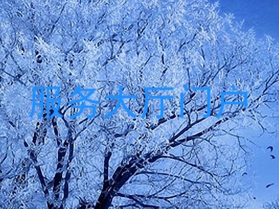 服务大厅门户